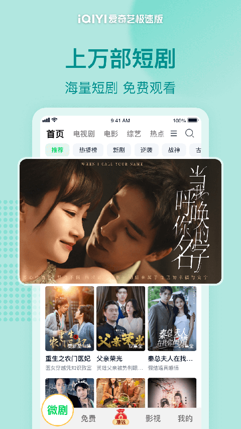 趴在书堆上的暹罗猫凝视壁纸